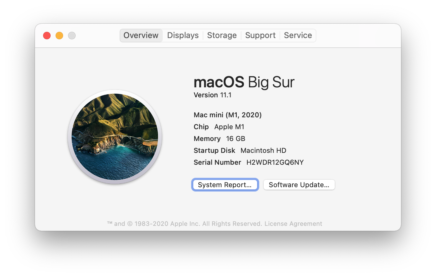 About this Mac dialog box showing a computer running macOS 11.1.